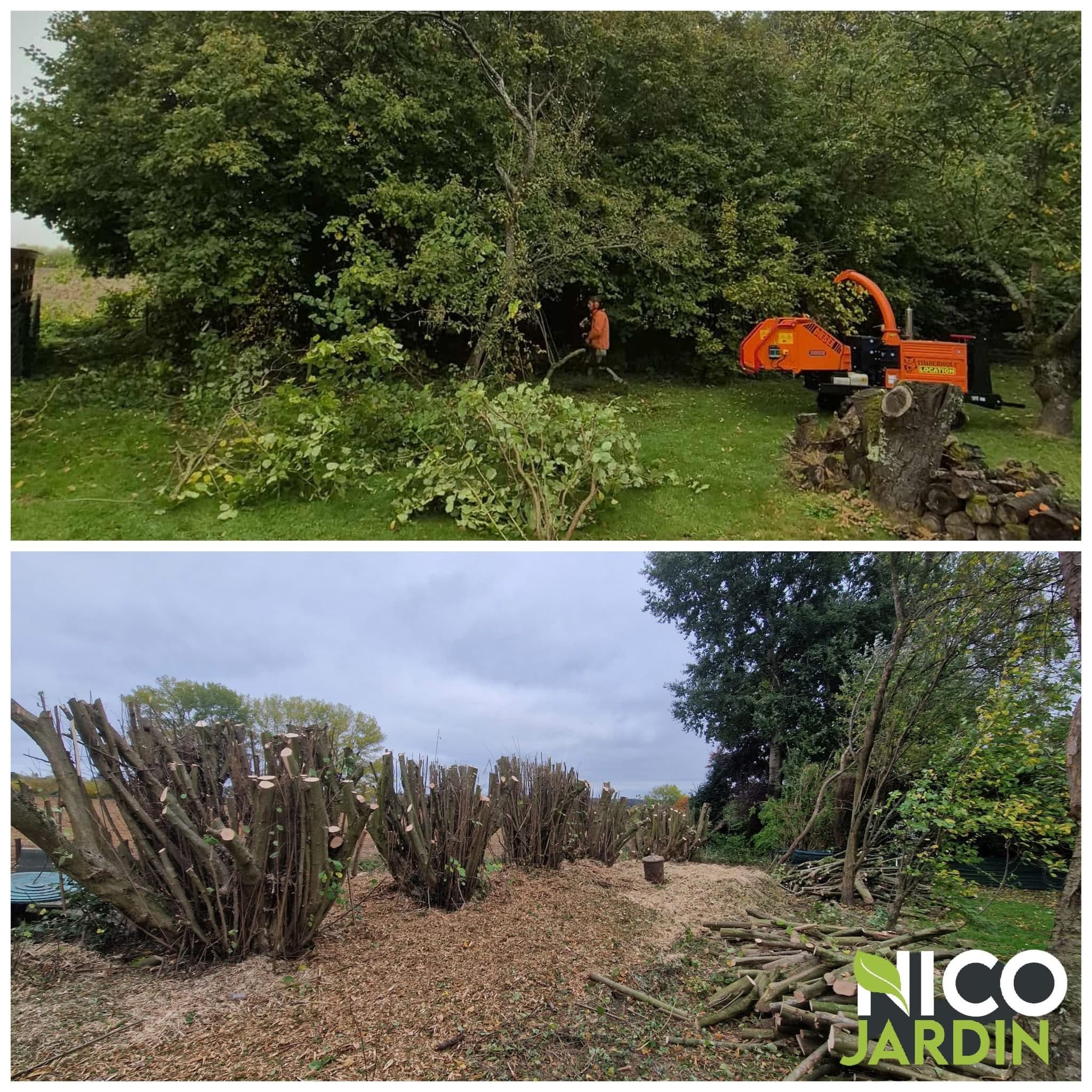 Réalisation 6 - NICOJARDINS